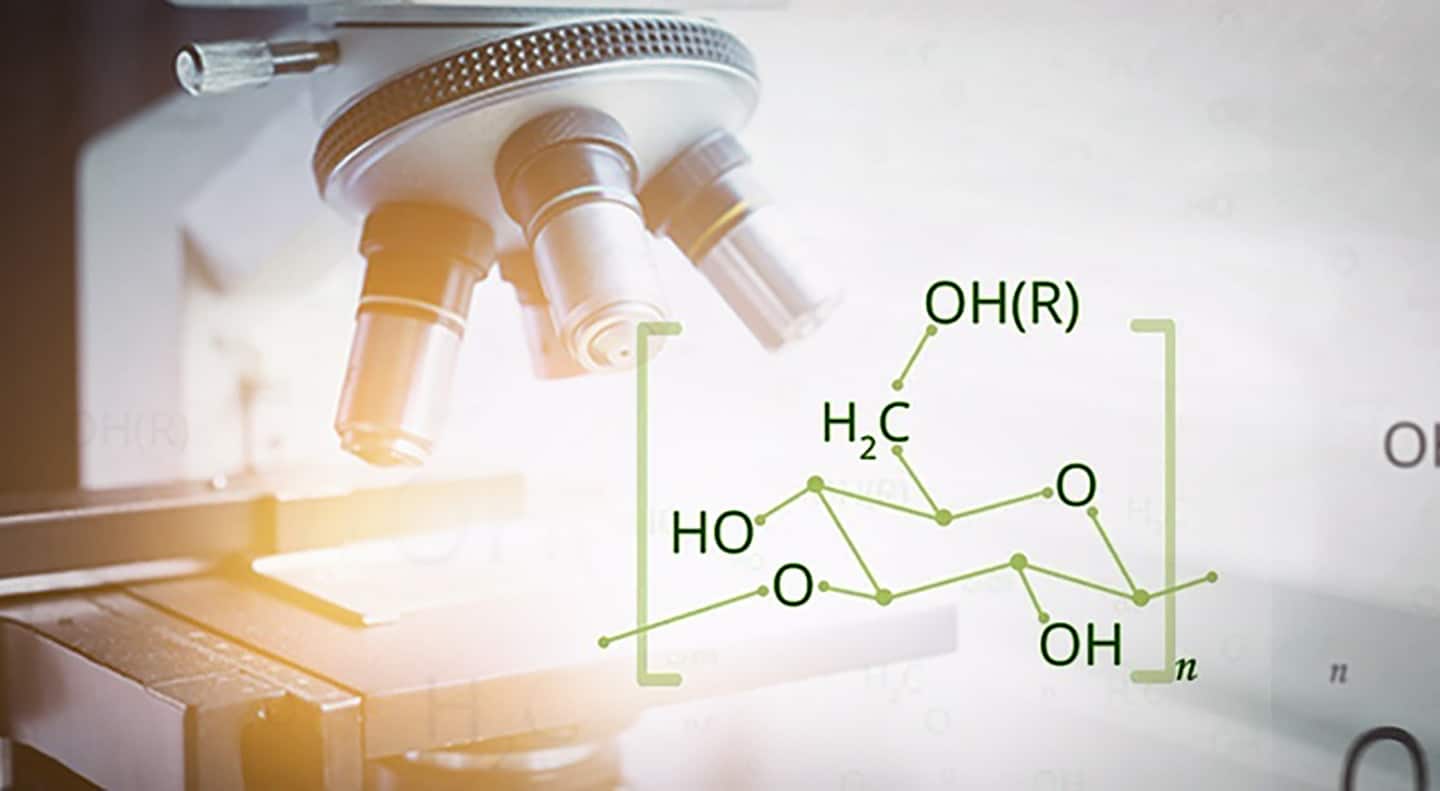 Kokia yra Defendyl-Imunoglukan P4H® produktų sudėtis ir kodėl juos reikia vartoti nevalgius?